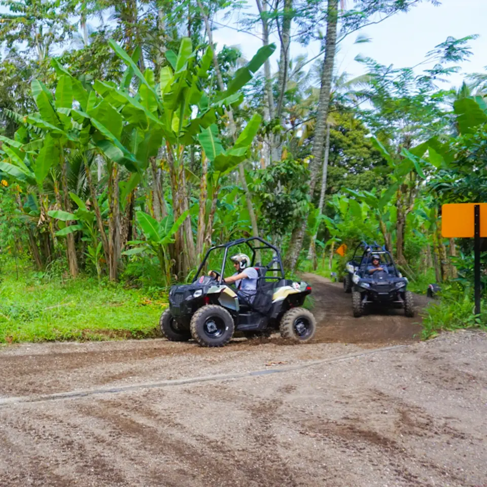 Jungle Buggy