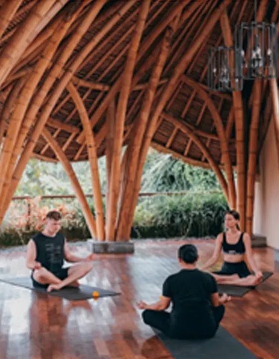 Holistic Bliss Package